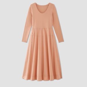 Everlane Long Sleeve Ballerina Dress